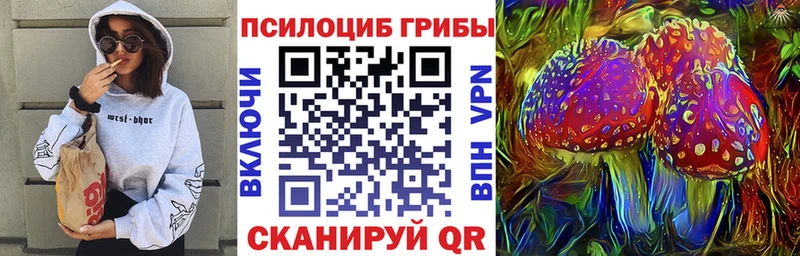 Псилоцибиновые грибы GOLDEN TEACHER  Купить закладки  Кола 